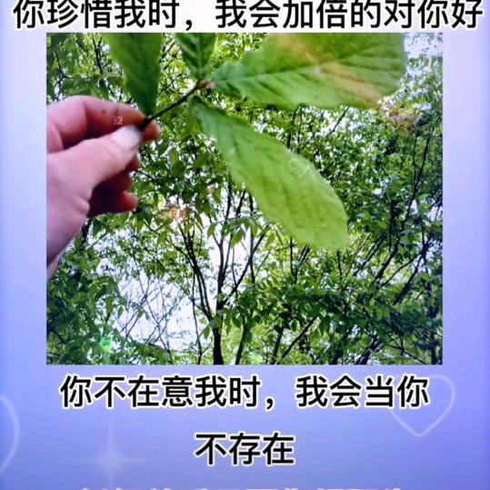 一切随缘👄👄