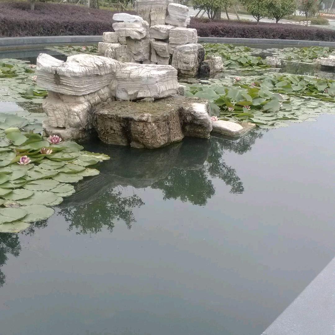 泽然苗木场
