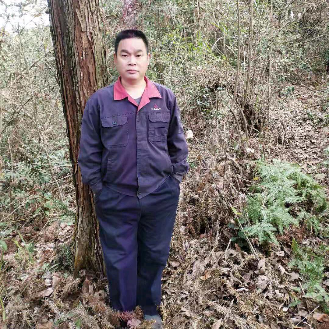 你情我愿
