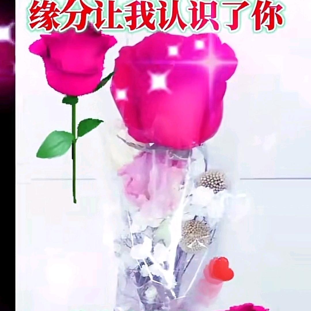 随缘堂