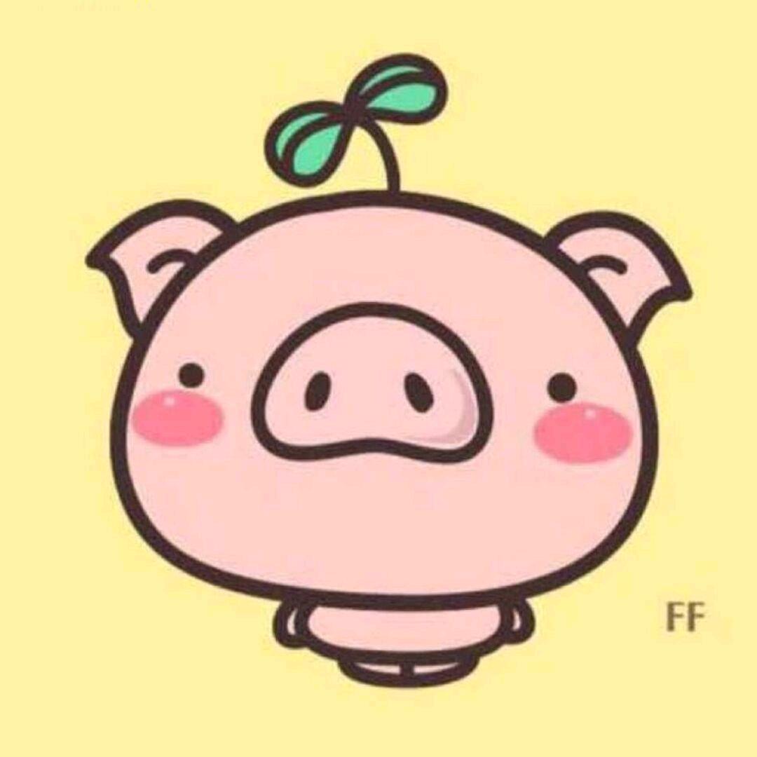 是许昕晰呀