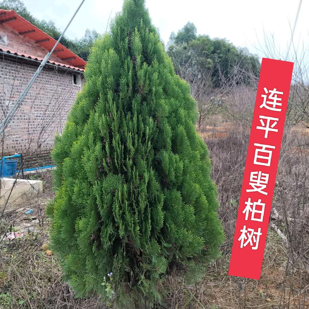 源盛商行