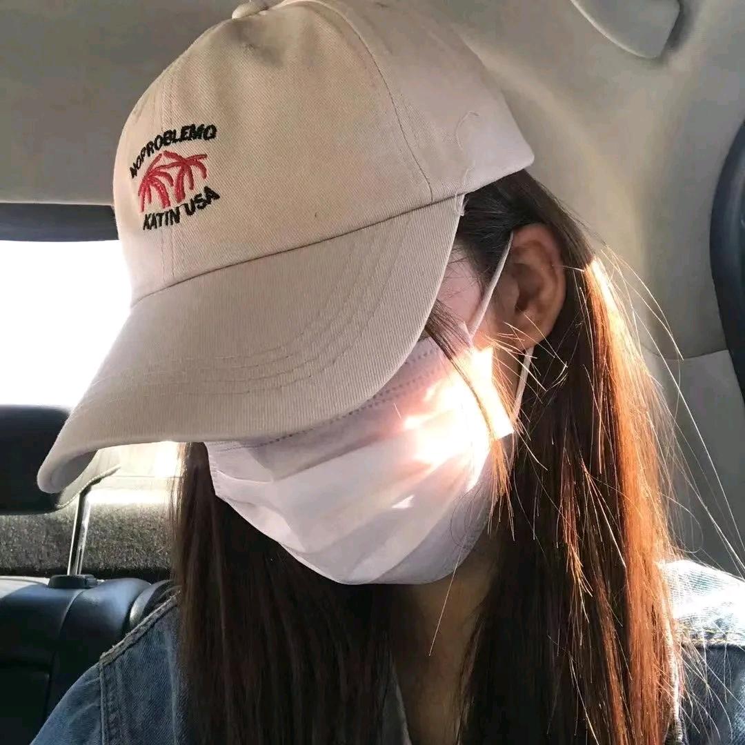 K的猫