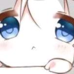 卿本佳人
