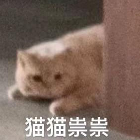 朵咪要坚强
