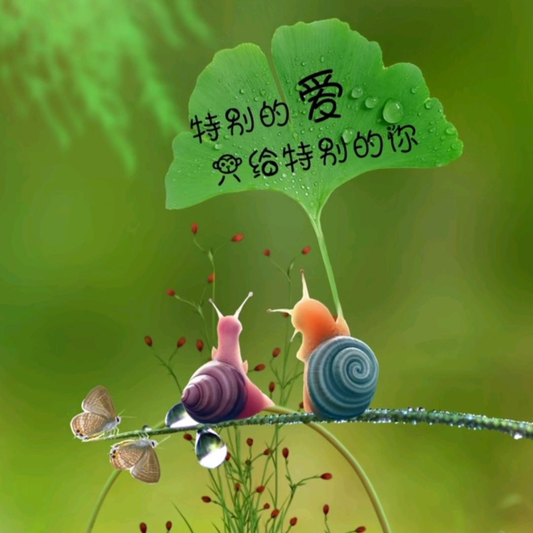 追光者(*^ω^*)阿杰