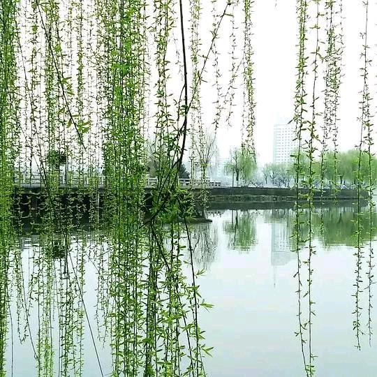 你是你