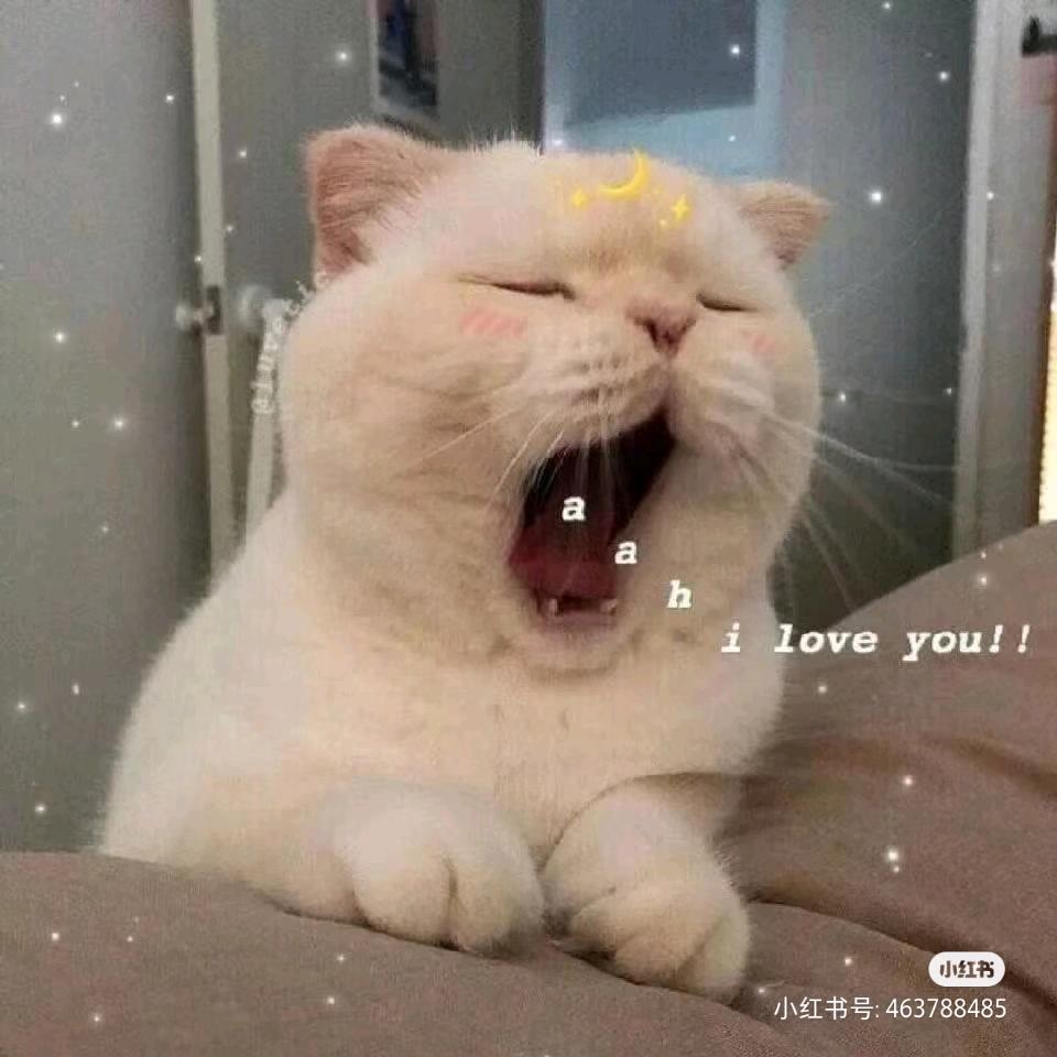 柠檬丫头