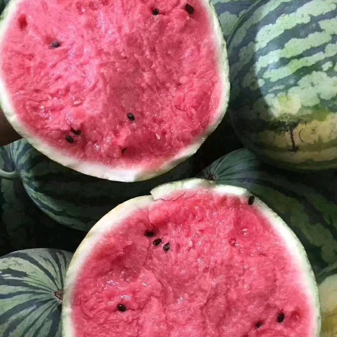 西瓜的传说