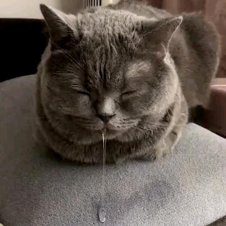 英子