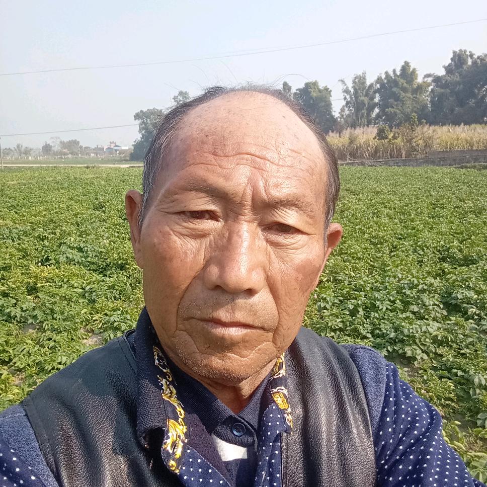 寸时立