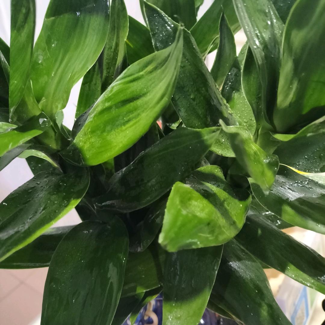 🌈海阔天空🌈