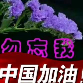 勿忘我