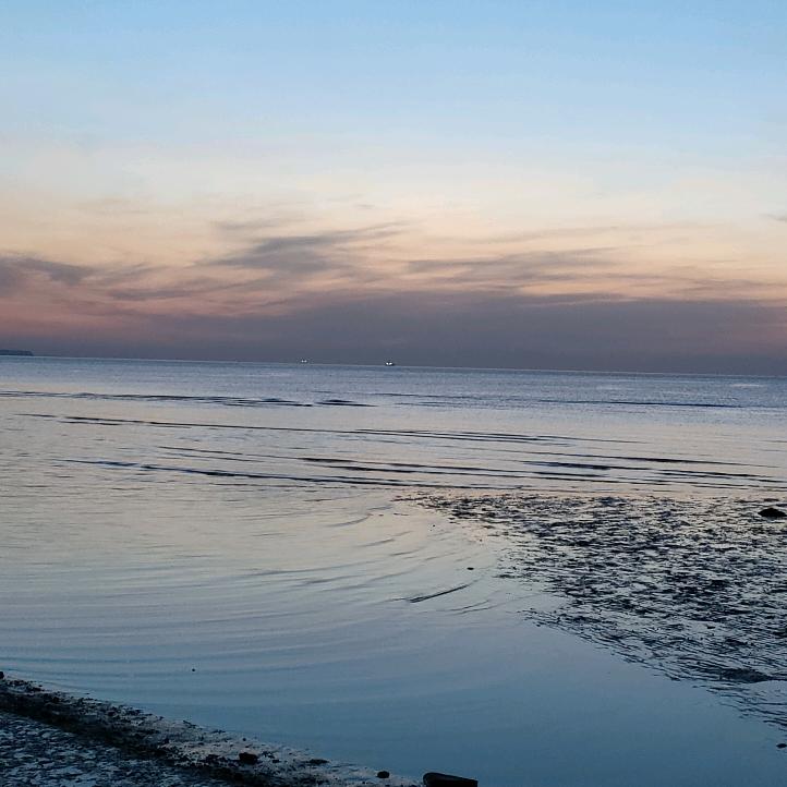 大连阿峰教带货