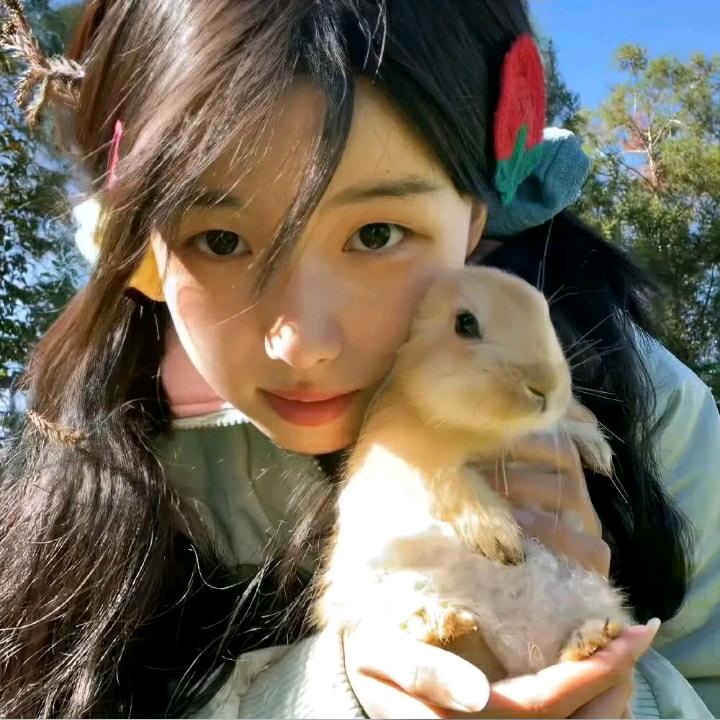 呼呼呼胡