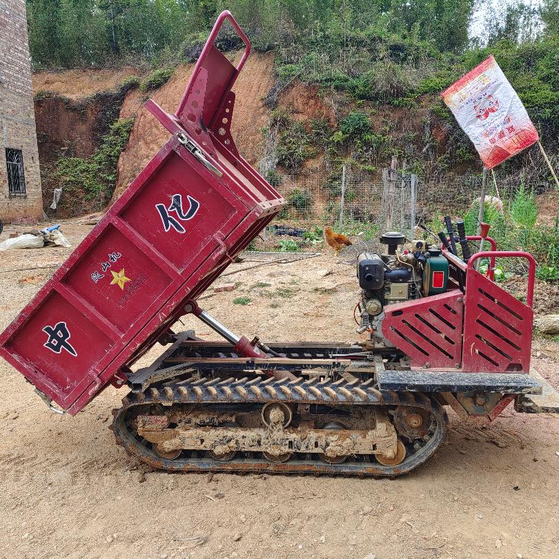 龙川马队爬山虎运输