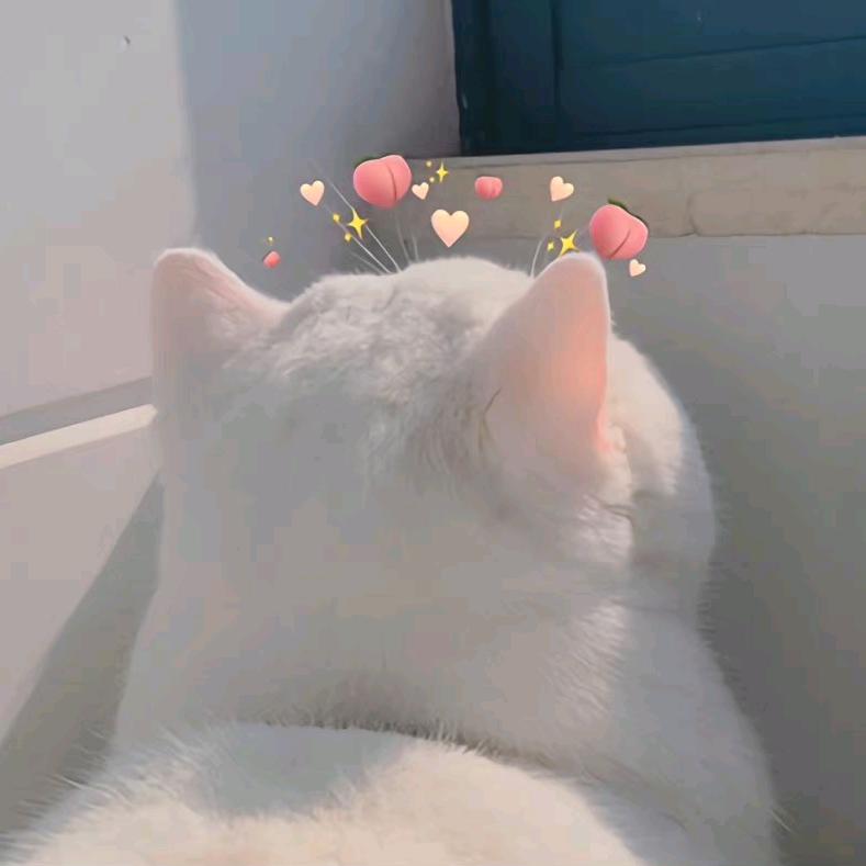 早点睡.🌙