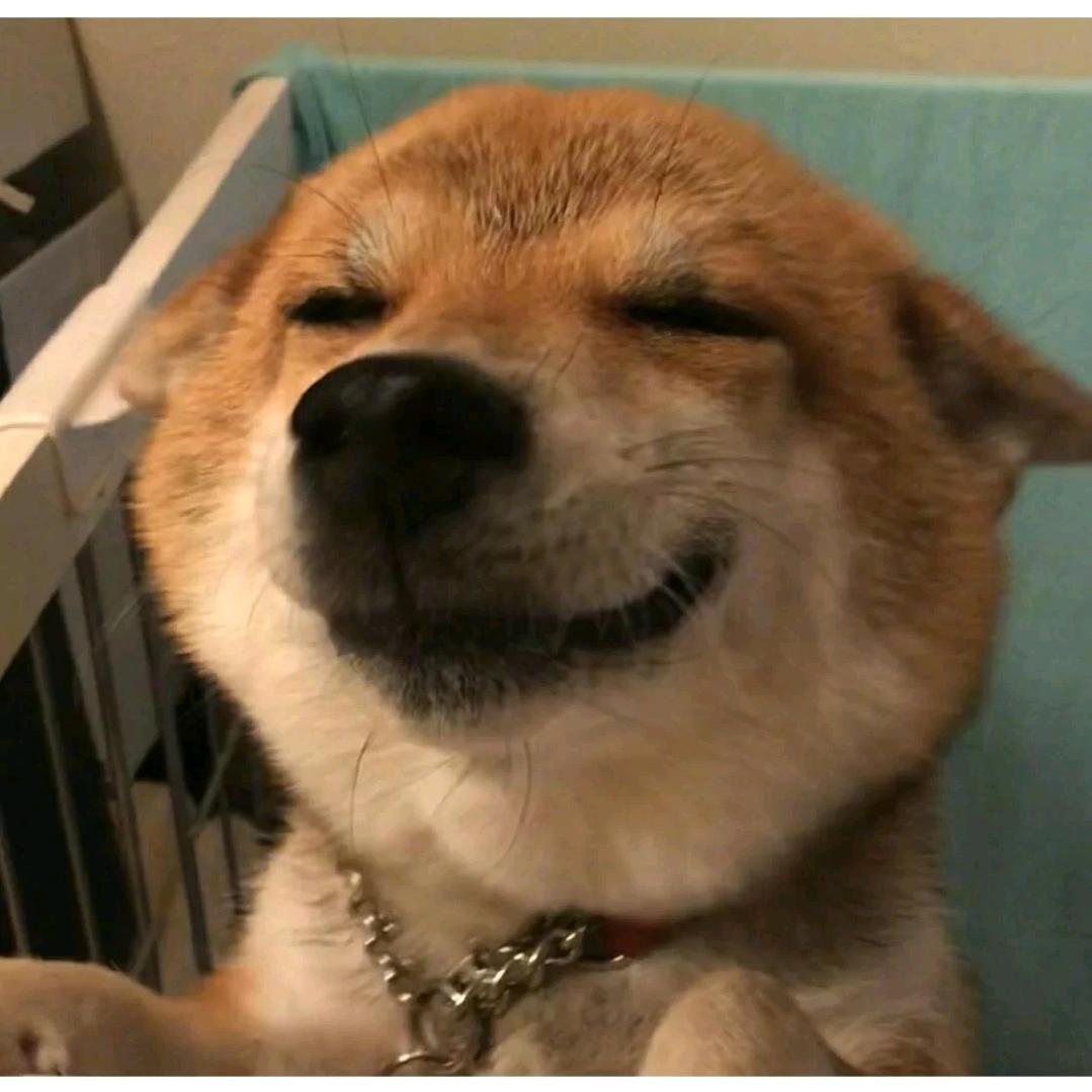 吃饺子不蘸酱油