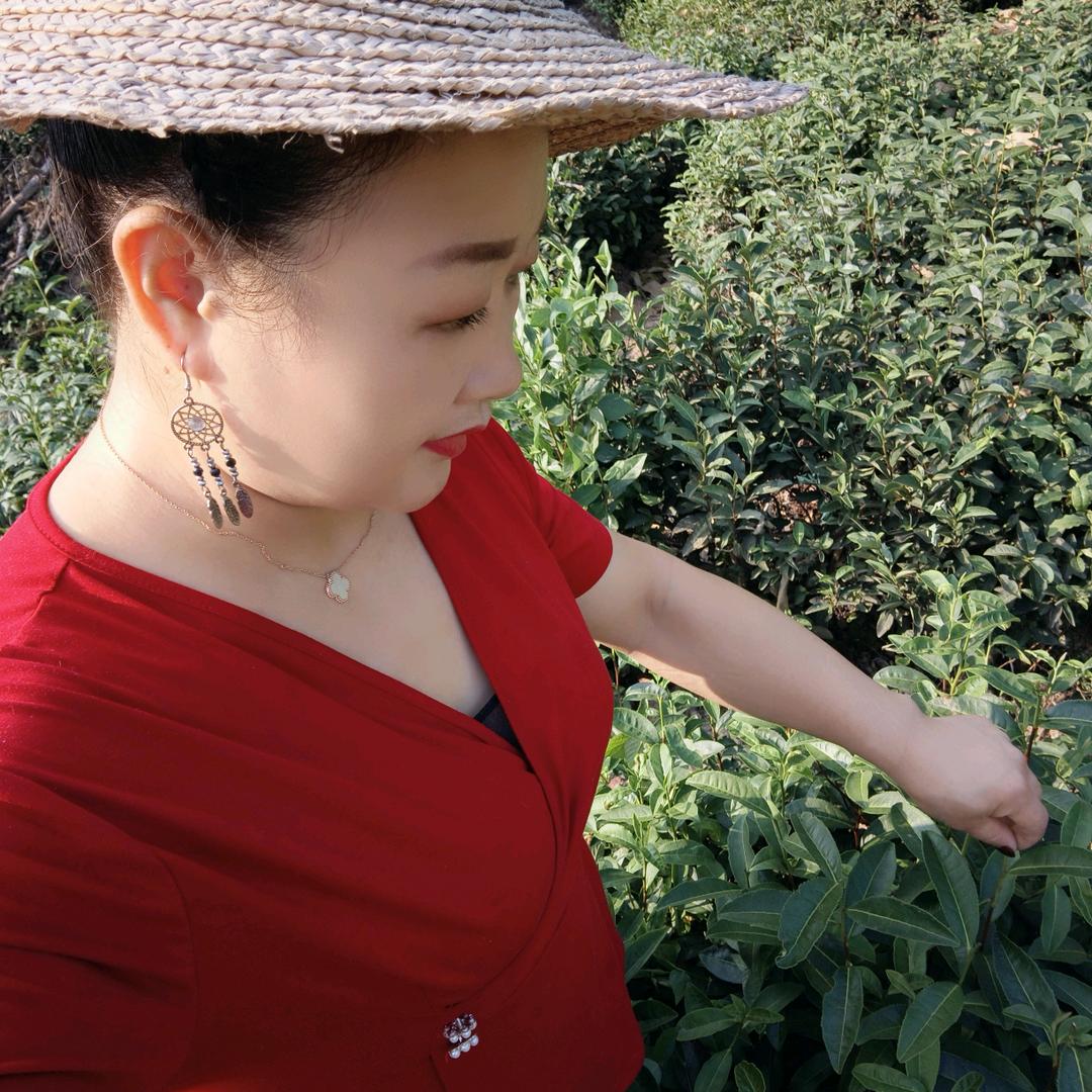 茶香万里