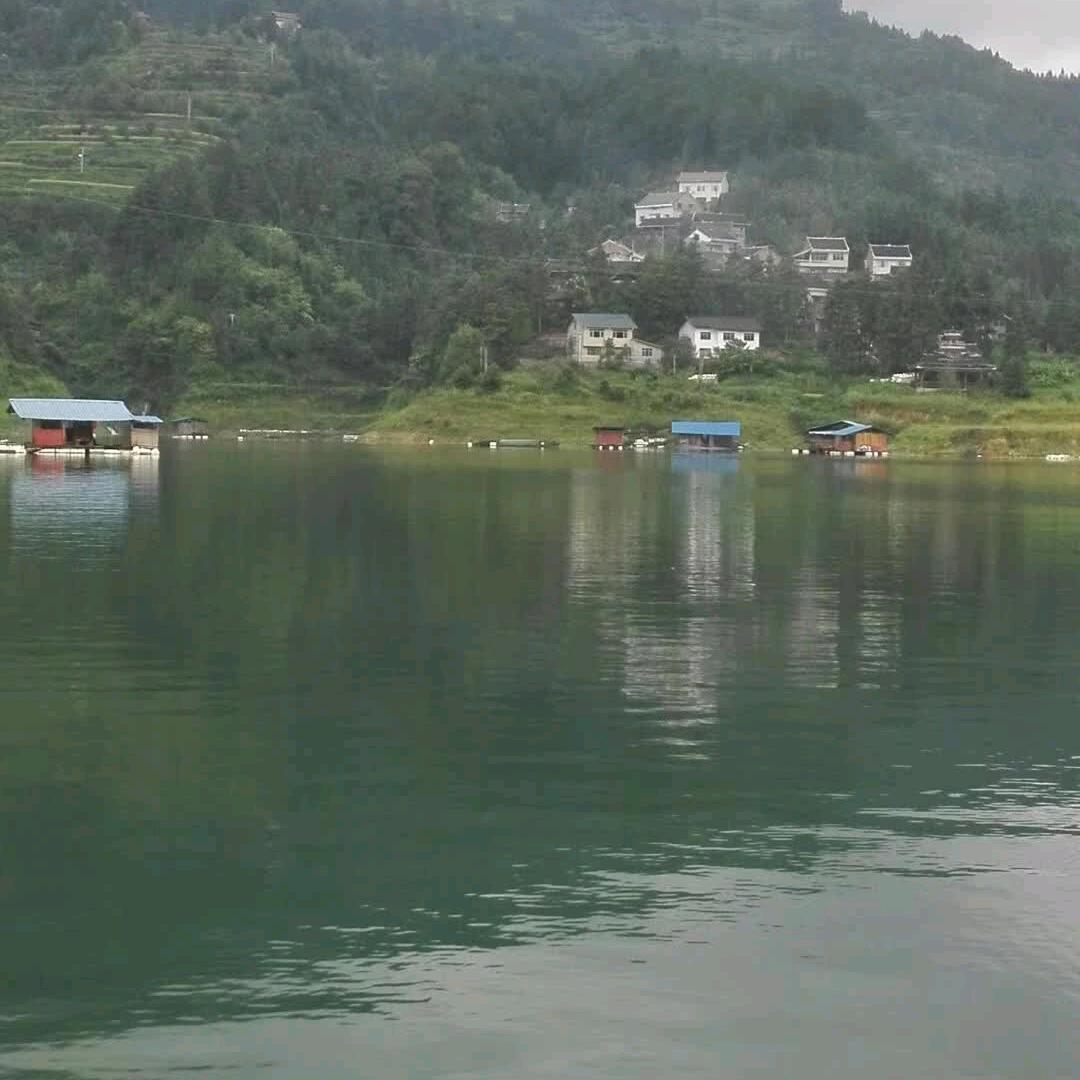 清风暖阳，☜.☞风落尘归去