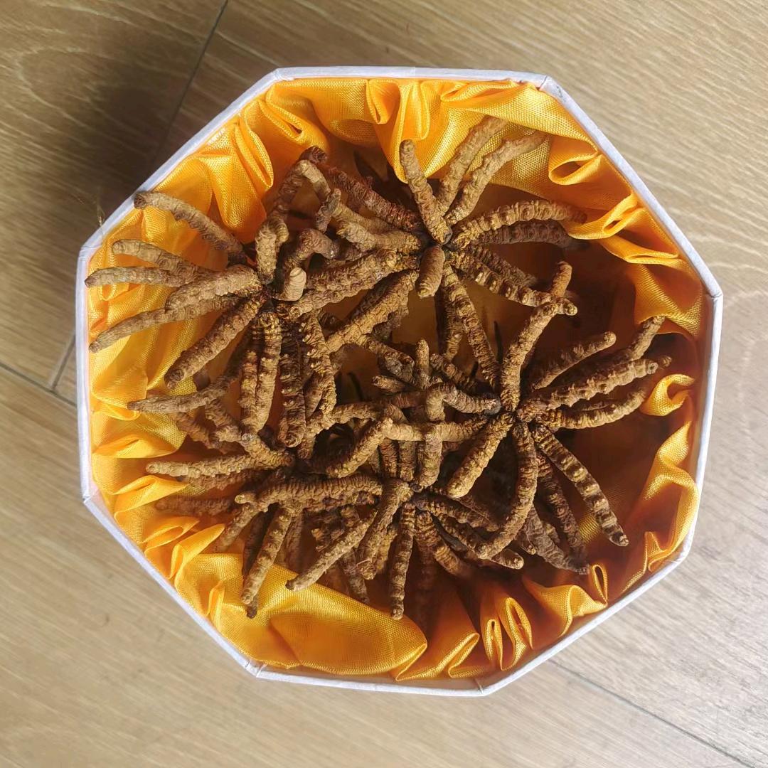 我的人生是个错