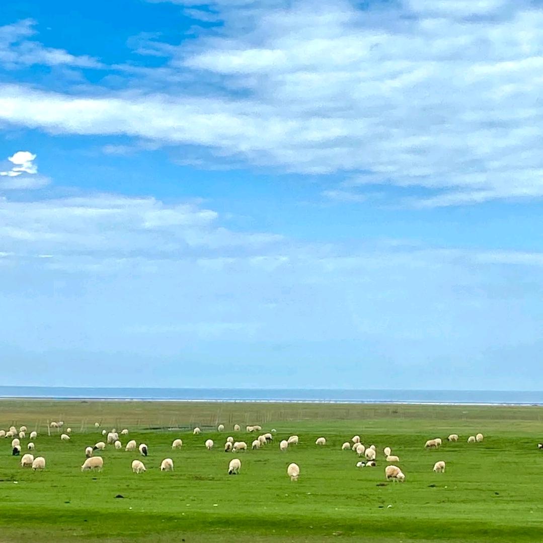 😊🌹🌹王姐好心态☕