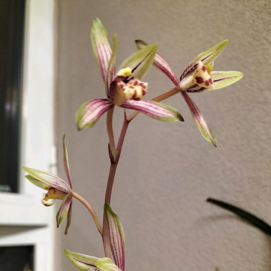 深蓝:)
