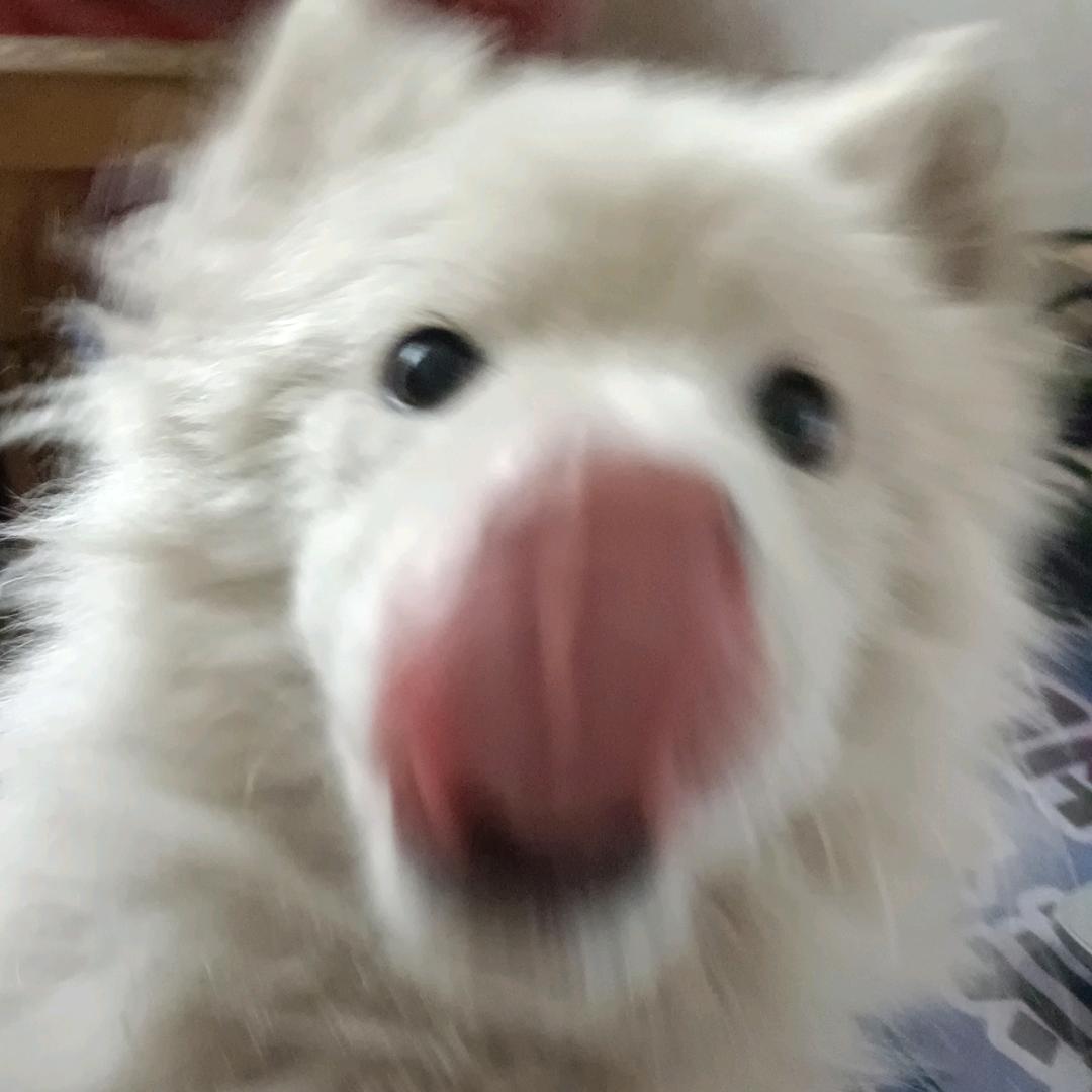 溯