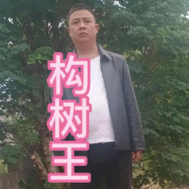 构树王公益东山哥