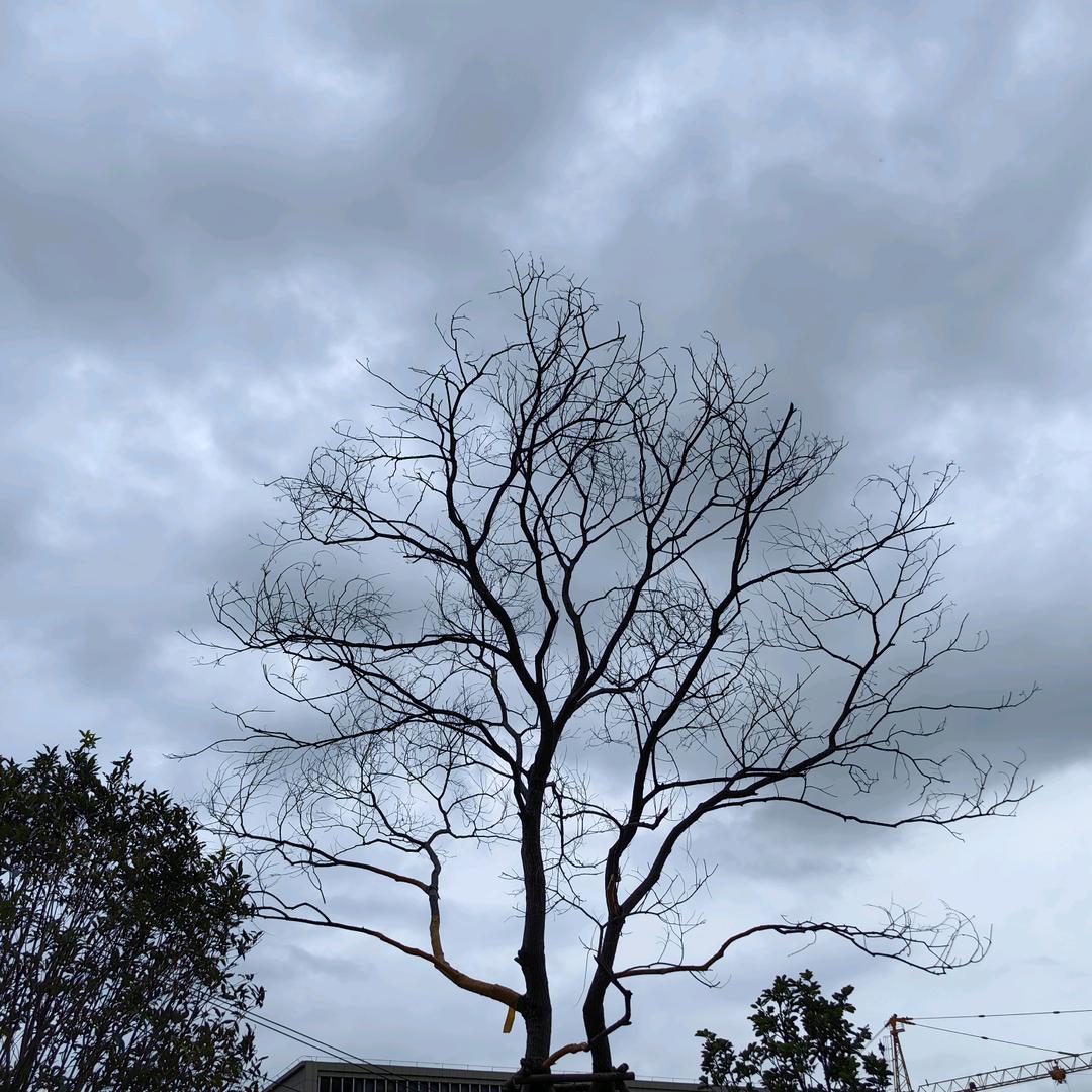 取一杯天上的水