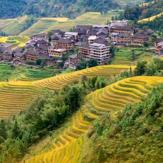 爱我河山
