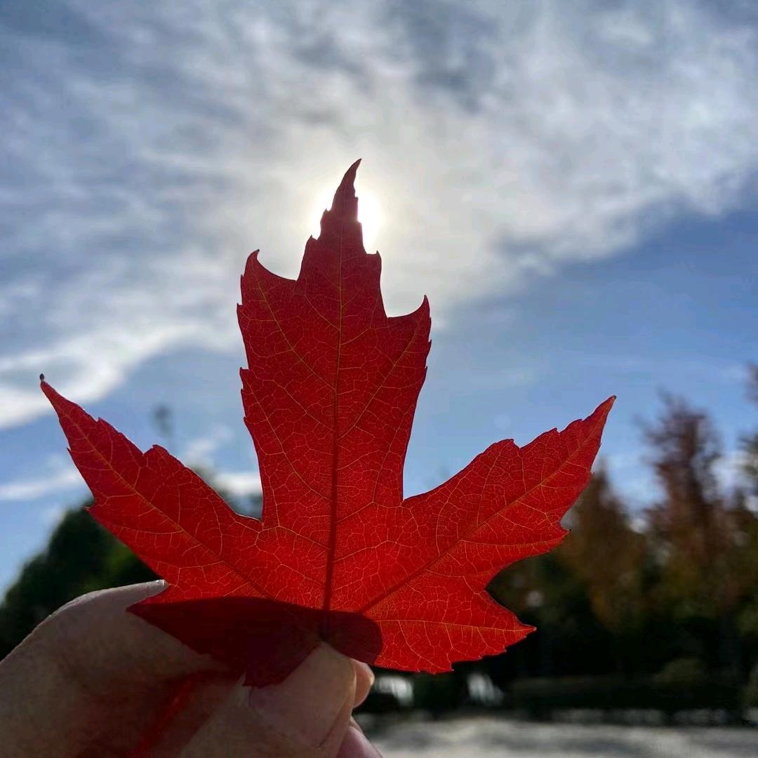 曹老师儿