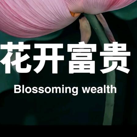 前严营废品收购站