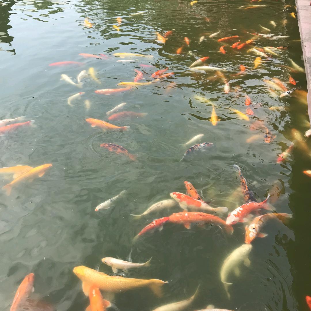 壹方QM优选