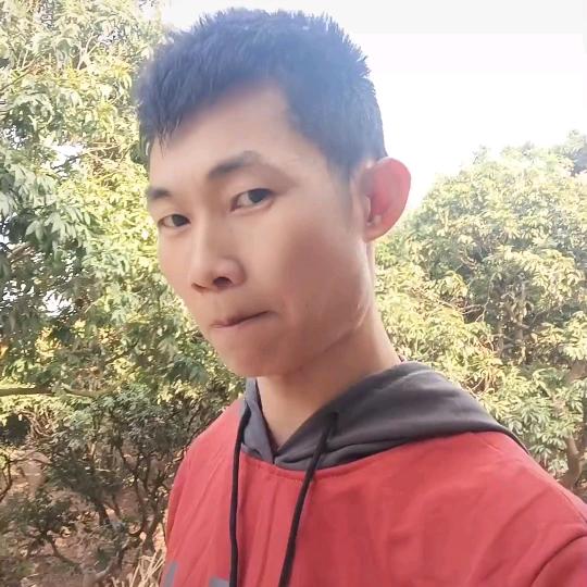 游戏人生（小宾荔枝）
