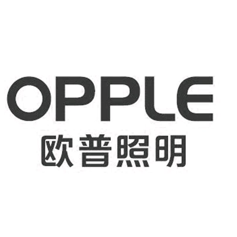 繁星照明电器有限公司