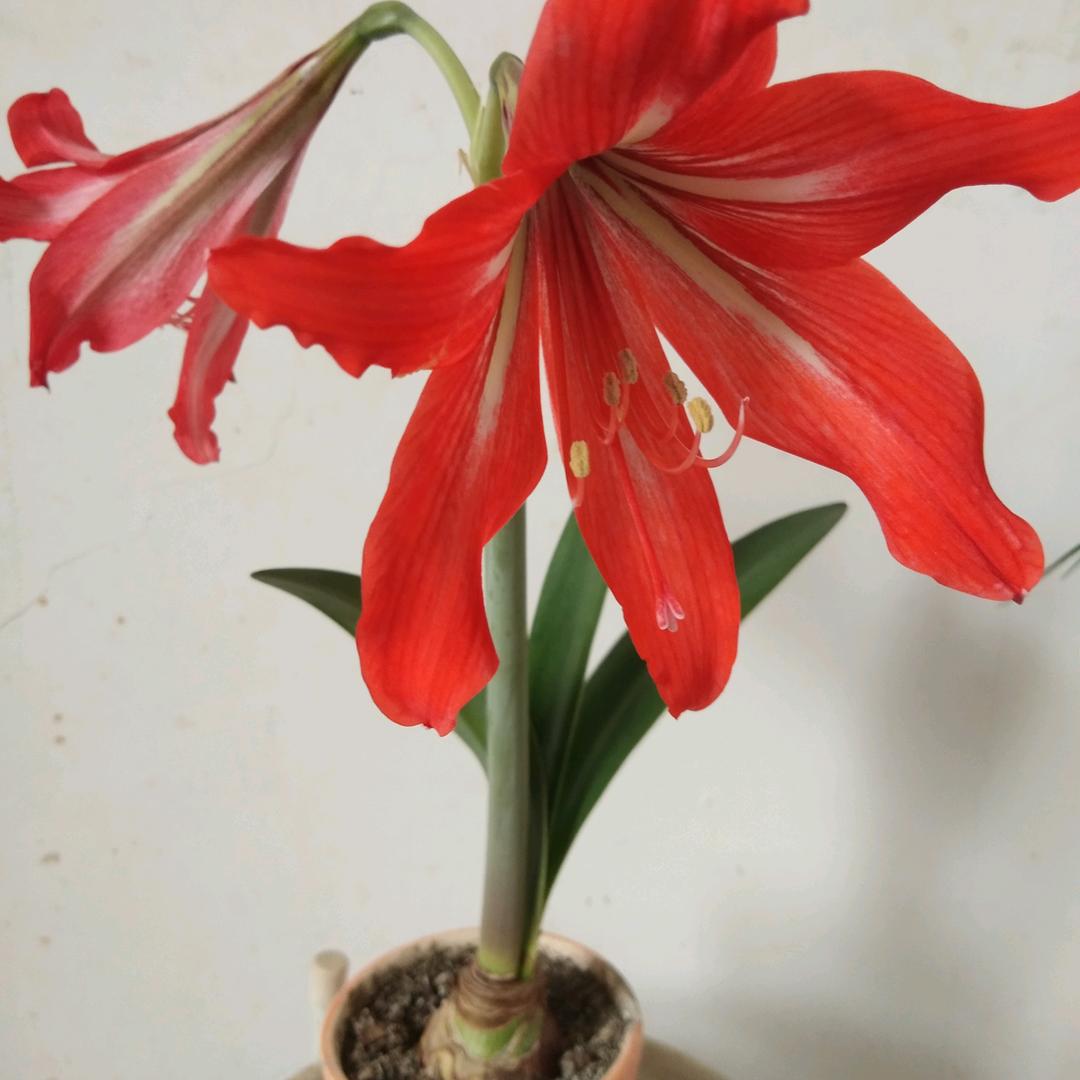 运河