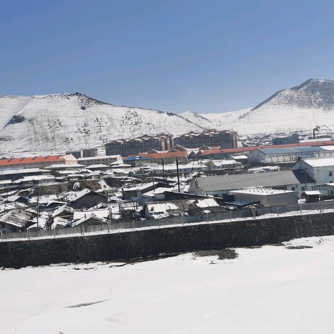 山里华(长白山)