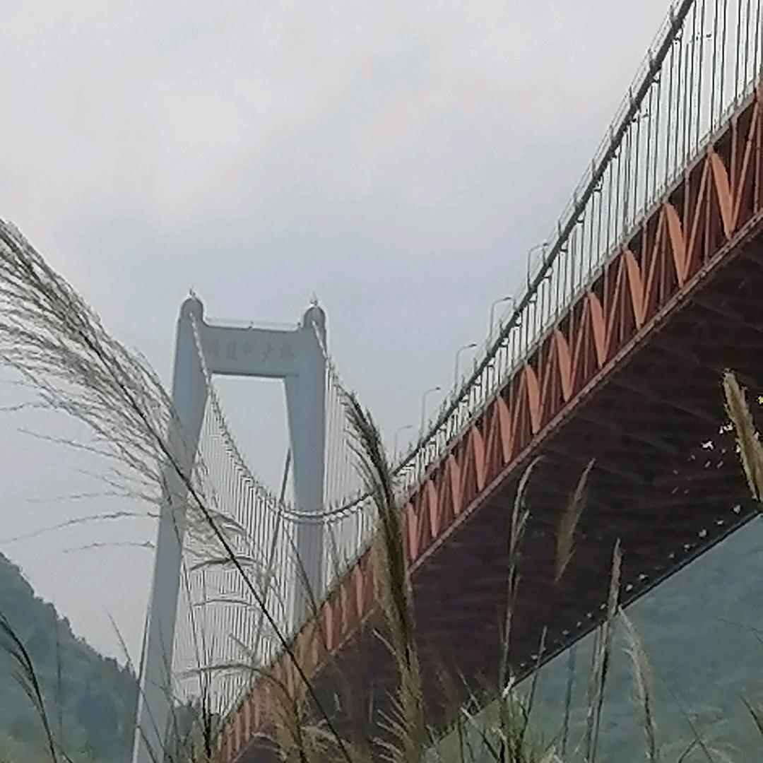苦中作乐