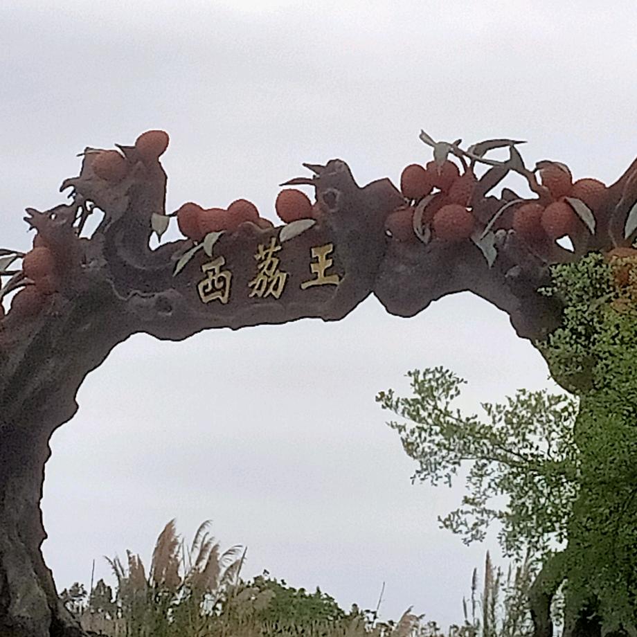 爱拍风景