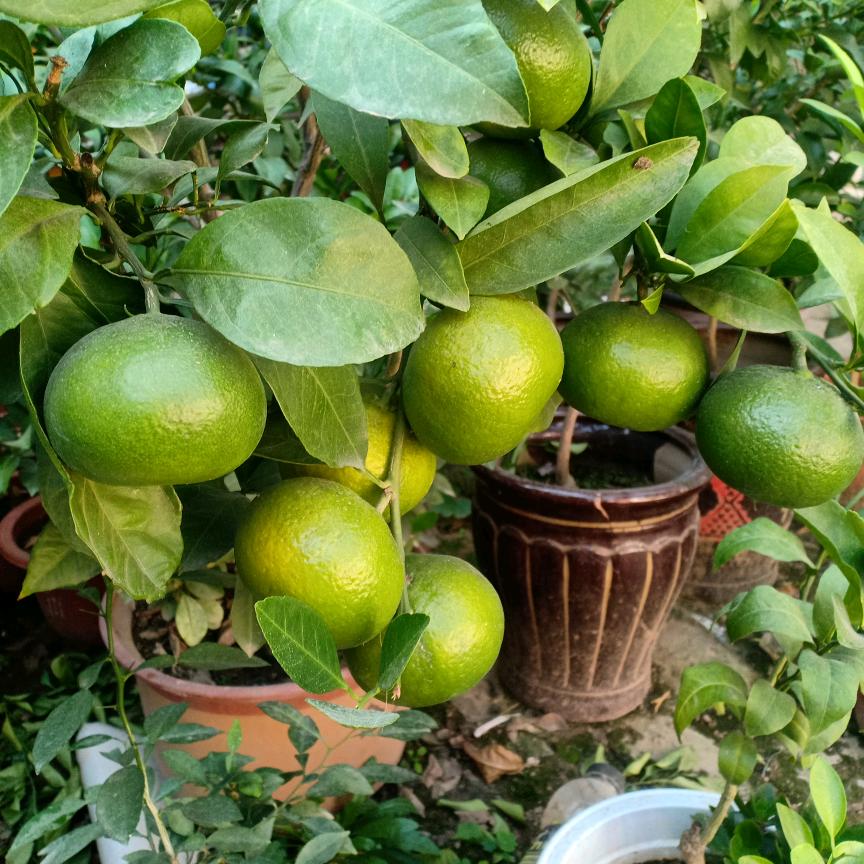 用户9048056832579