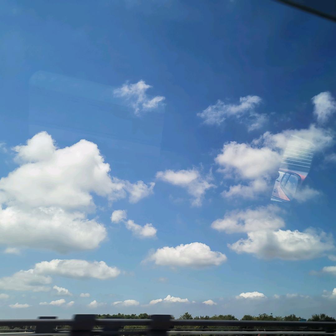 挽君明月岁寒香