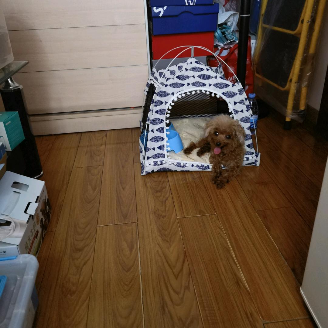 萌小宝