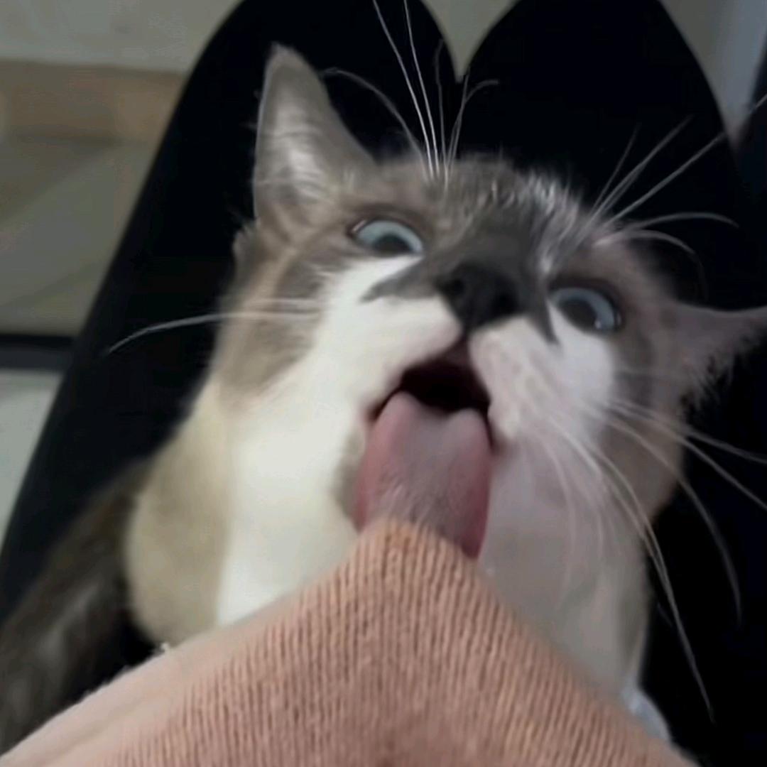 许宁宴