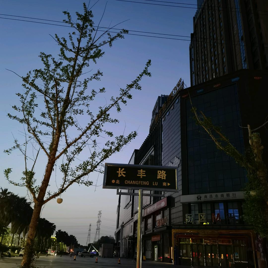 杨承宇