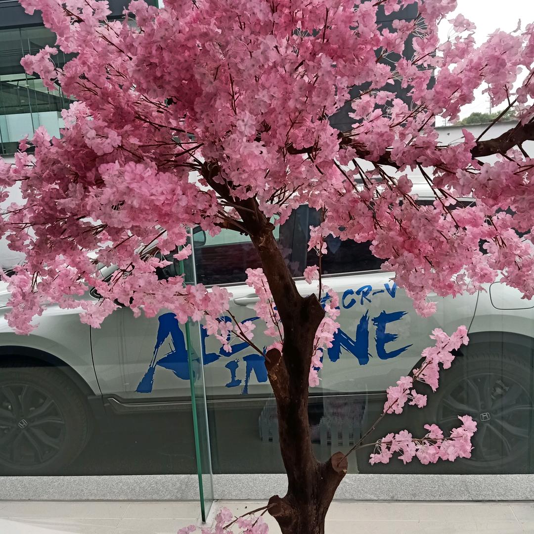 一切随风 拒绝私聊