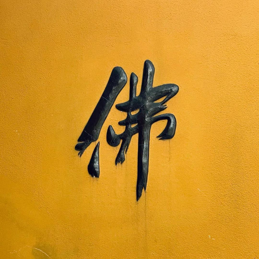 【普陀山】释妙清师父