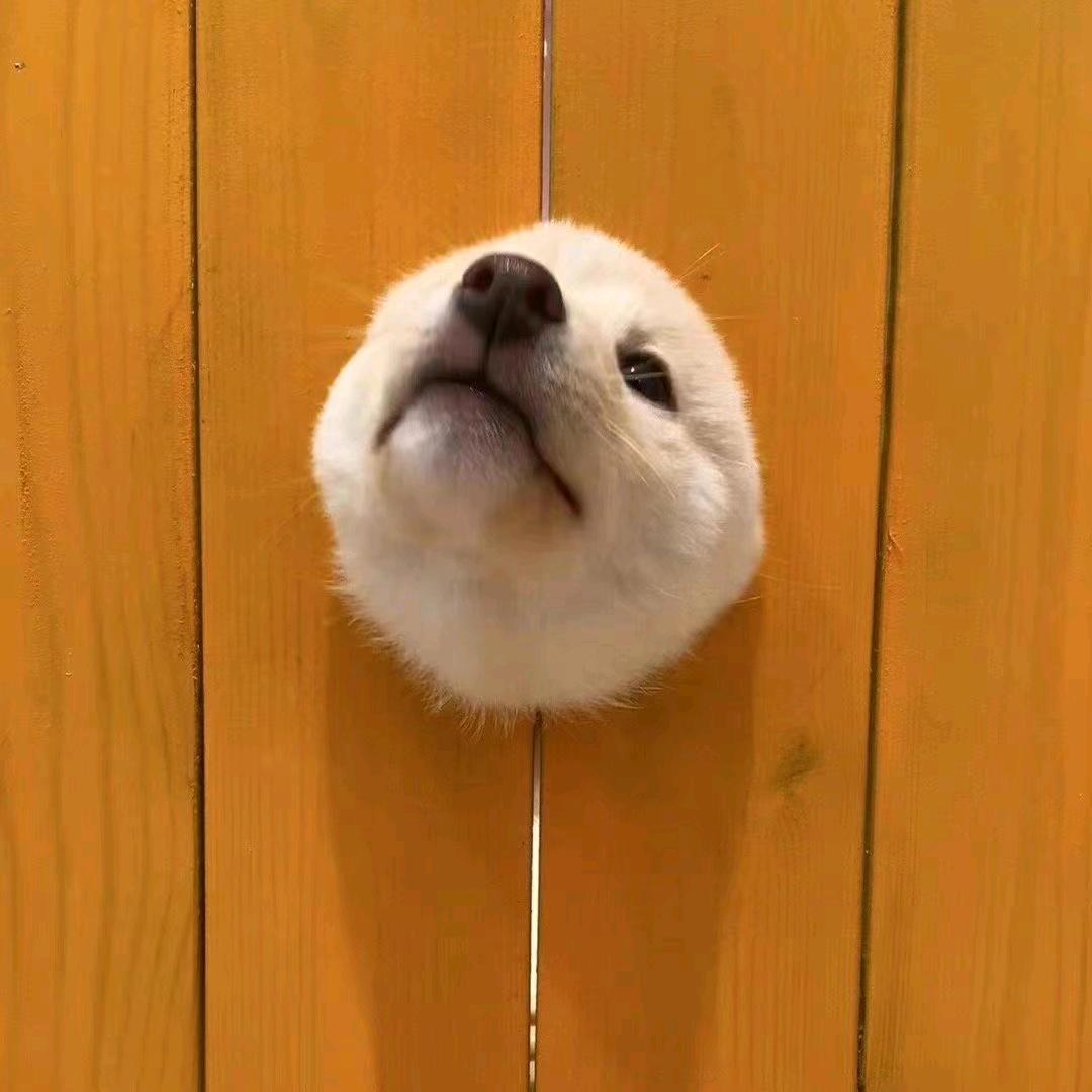 长十八