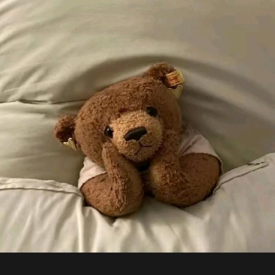 熊二🐻