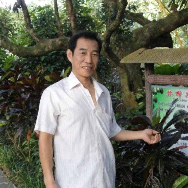 河北杨哥